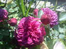 DSC07380