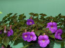 DSCN9634