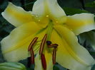 DSCN9640