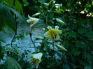 DSCN9644