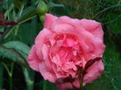 DSCN9653
