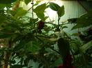 DSCN9689