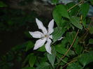 DSCN9710