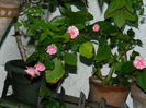 DSCN9712