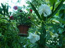 DSCN9716