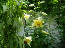 DSCN9738