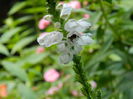 DSCN9770