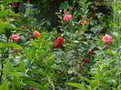 DSCN9773