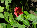 DSCN9779
