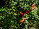 DSCN9749