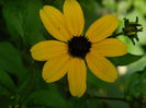 DSCN9754