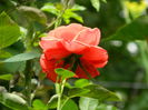 DSCN9764