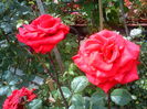 DSC08015