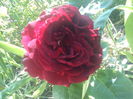 DSC08260