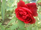 DSC08799