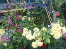 DSC09136