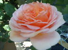 DSC00027