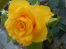 DSC00190