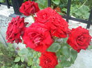 DSC00258