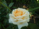 DSC00408
