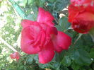 DSC08203