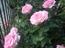 DSC08759