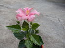 DSCN0283