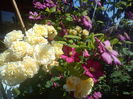 DSC09375