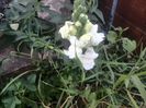 IMG_20140702_195929