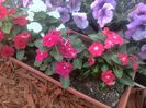IMG_20140702_195945