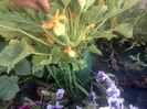 IMG_20140702_200331