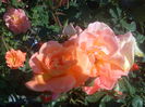 Westerland