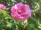 DSC09040