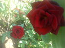 DSC00719