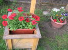 Picture 051