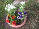 Picture 052