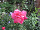 Picture 070