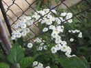 Picture 072