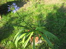 Picture 125