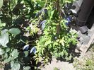 20140630_135140