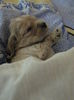 poze 11.01.2013 036