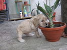 poze 11.01.2013 052