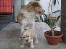 poze 11.01.2013 054