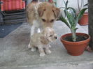 poze 11.01.2013 055