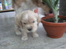 poze 11.01.2013 056