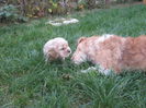 poze 11.01.2013 070