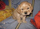 poze 11.01.2013 075