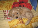 poze 11.01.2013 076