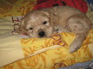 poze 11.01.2013 077