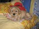 poze 11.01.2013 080